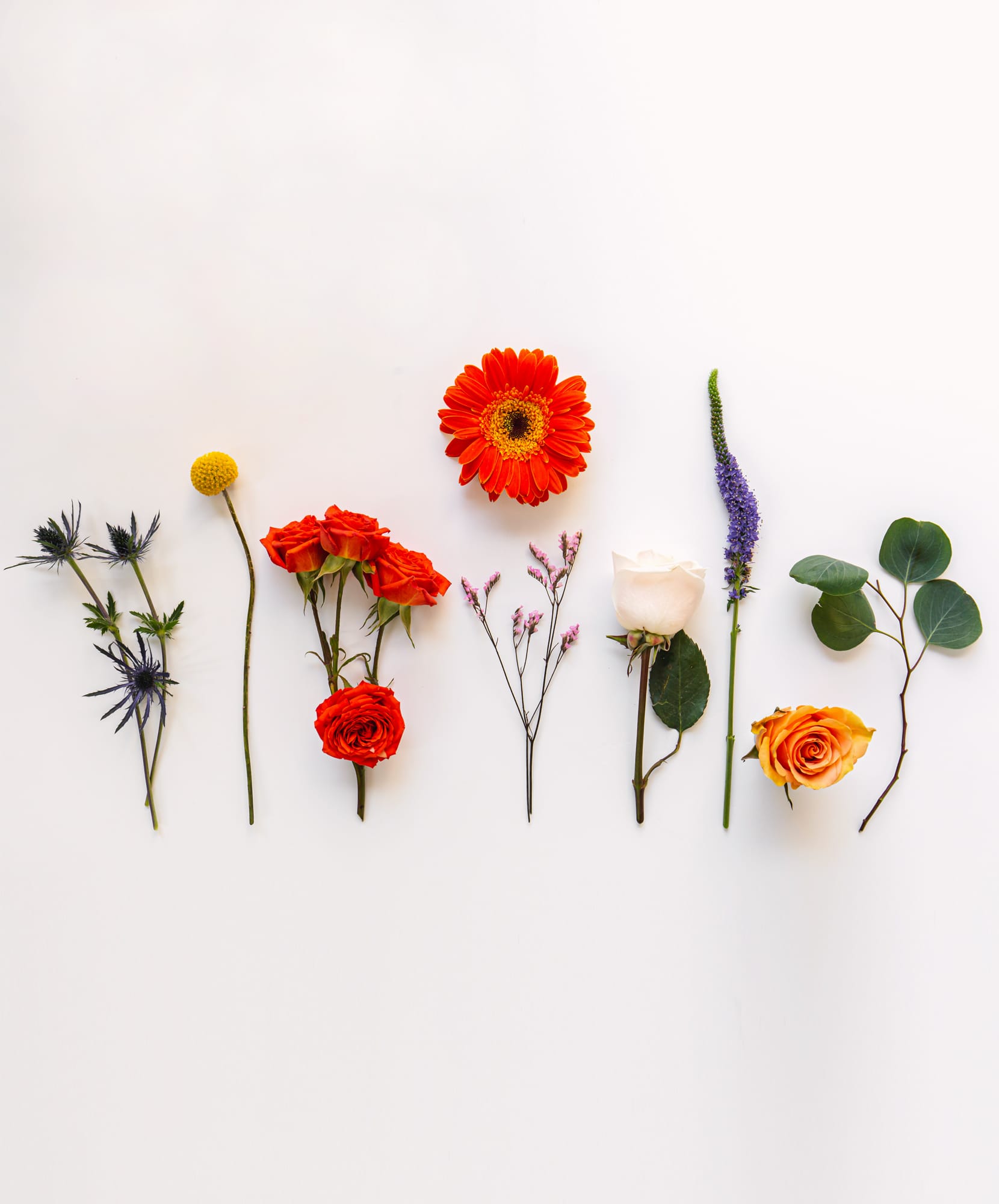 Bright and vibrant floral arrangement featuring colorful roses, gerbera daisies, and foliage.